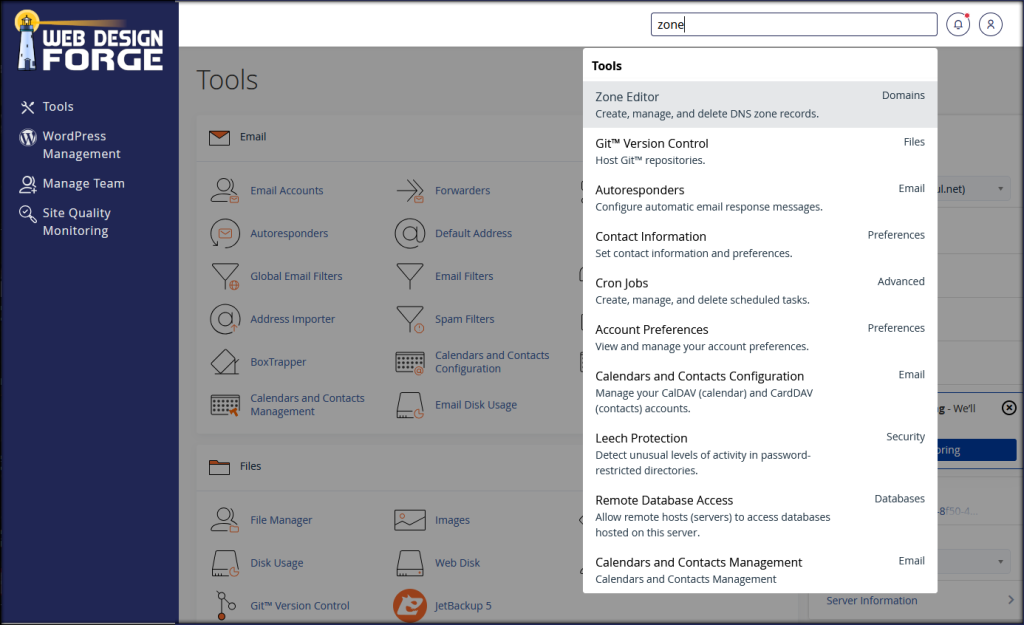 Zone File Screenshot for GHL Web Hosting - Web Design Forge